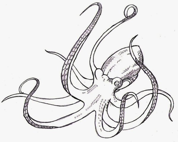 Кальмар стилизация