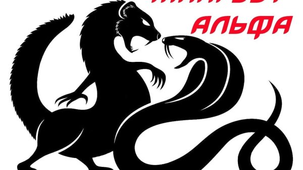 Тату Мангуст и Кобра