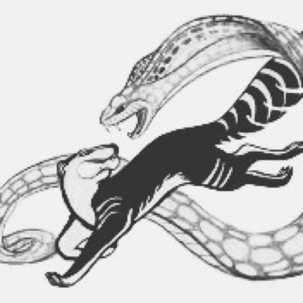 Мангуст Рикки Тикки Тави