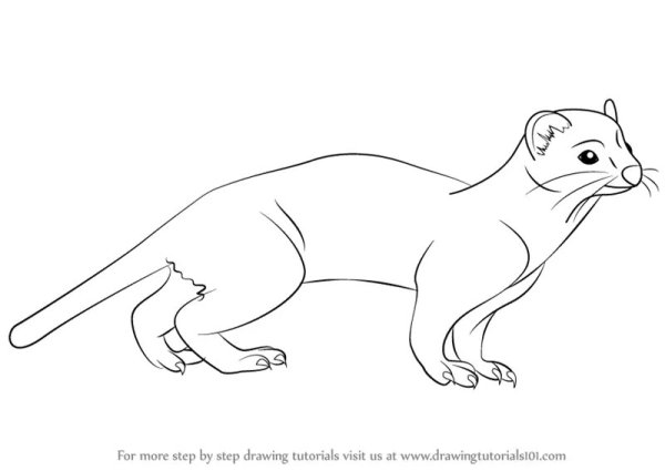 Мангуст Рикки Тикки Тави раскраска