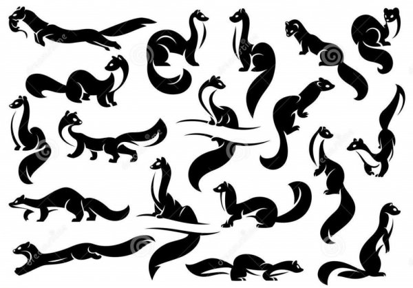 Соболь силуэт