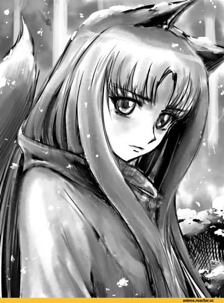 Рисование аниме волчица и пряности