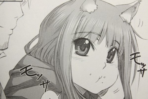 Холо мудрая чб