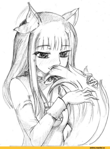 Раскраски аниме волчица и пряности