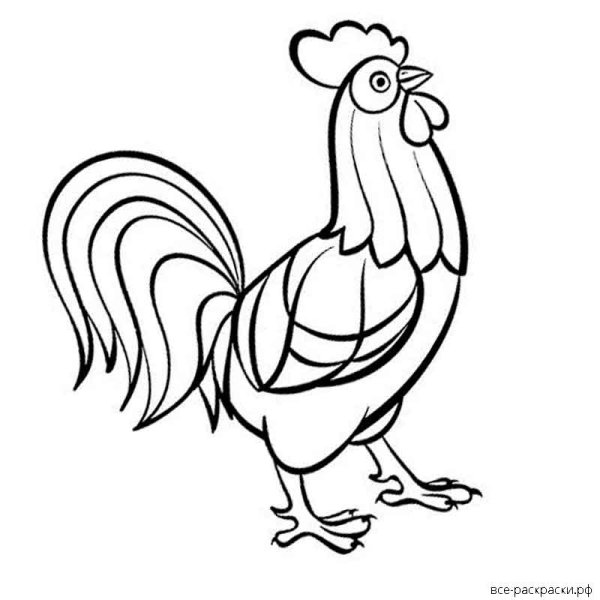 Раскрасить петуха