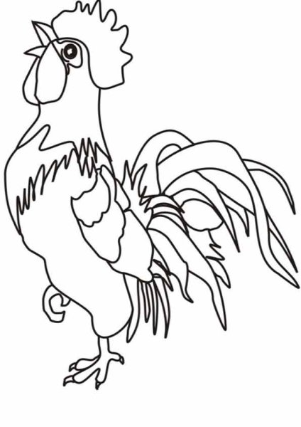 Петух раскраска