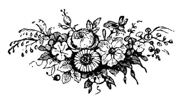 Композиция цветов карандашом