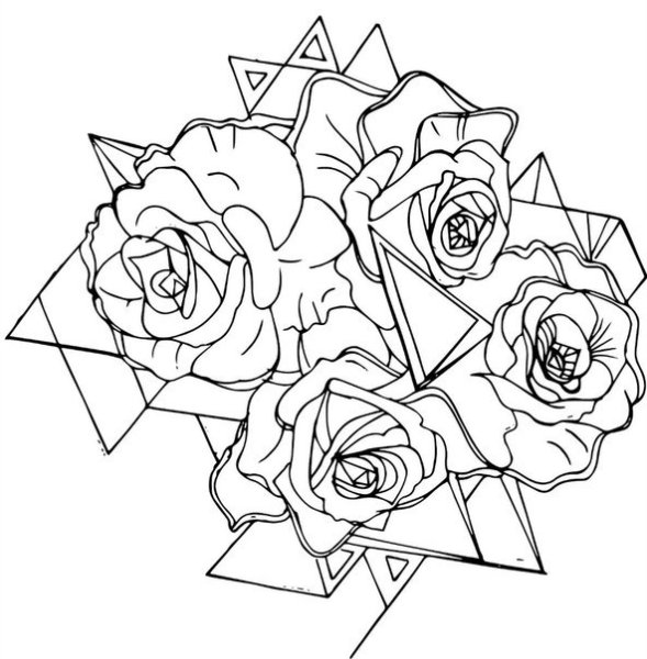 Роза черно белая эскиз
