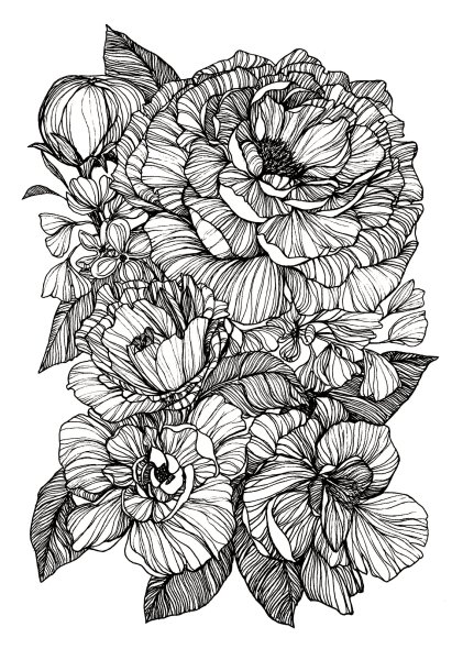 Пион Зентангл