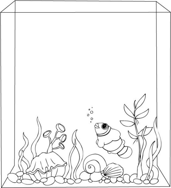 Нарисовать фон для аквариума