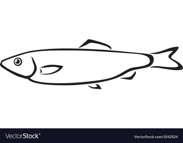 Трафарет рыбы селедка