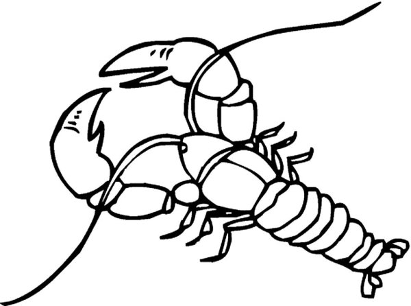 Рачки для раскрашивания