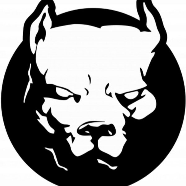 Векторная Графика питбуль
