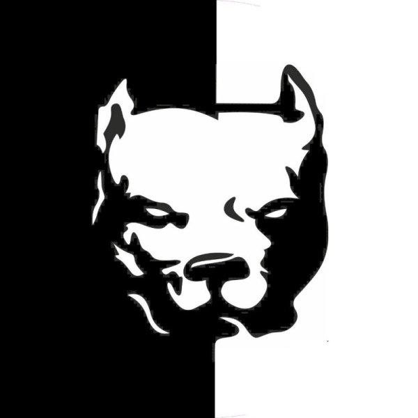 Эрик Давидыч питбуль