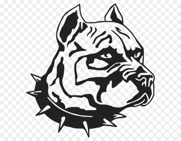 Американский стаффордширский терьер