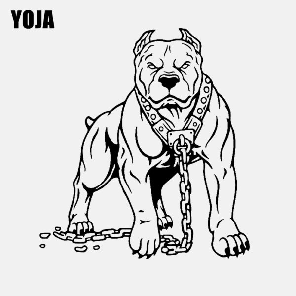 Морда питбуля на чёрно-белом фоне