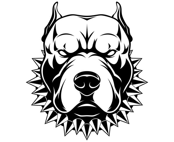 Тату питбуль эскиз