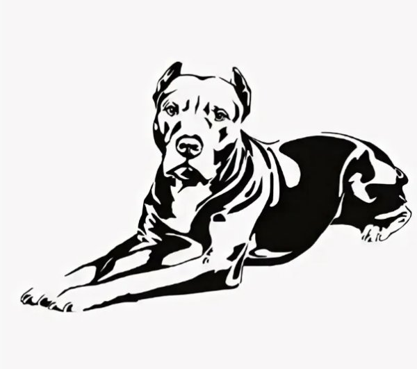 Наклейка питбуль