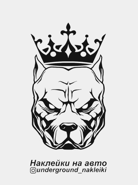 Питбуль винил Давидыча