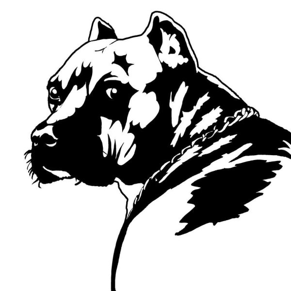 Эскизы тату собаки питбуль