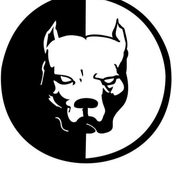 Питбуль Давидыча