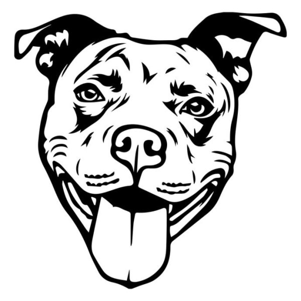 Наклейка питбуль