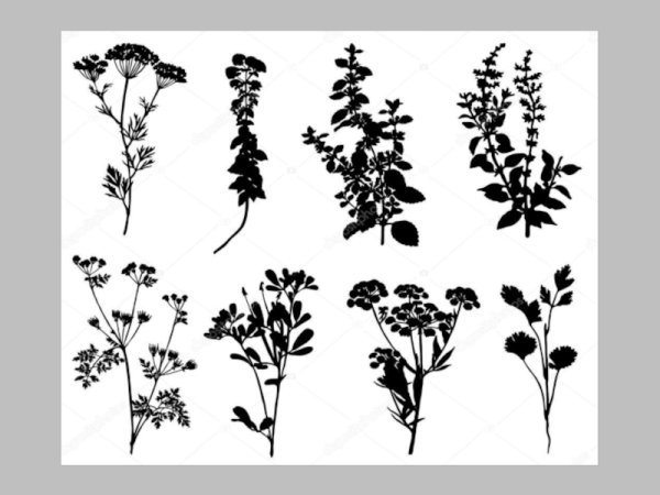 Силуэты полевых растений