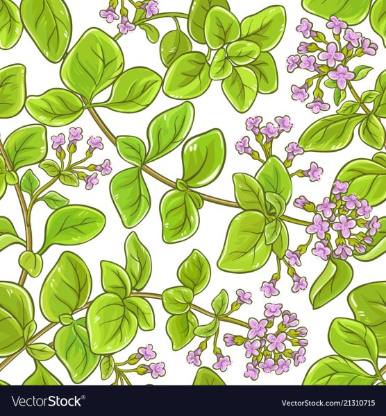 Тимьян веточка