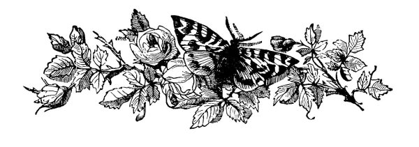 Черно белые Винтажные растения