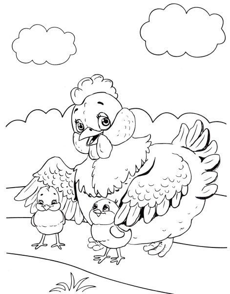 Птичий двор раскраска для детей