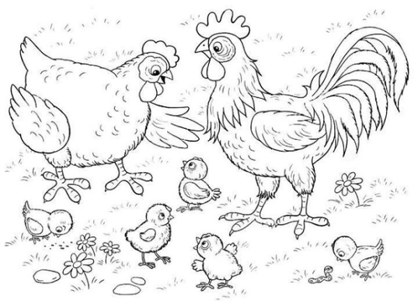 Курица с цыплятами