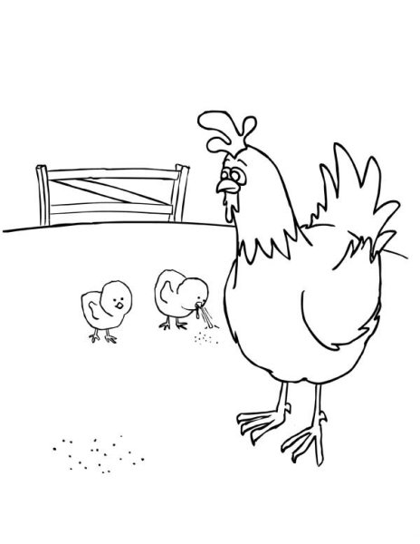 Курица с цыплятами раскраска для детей
