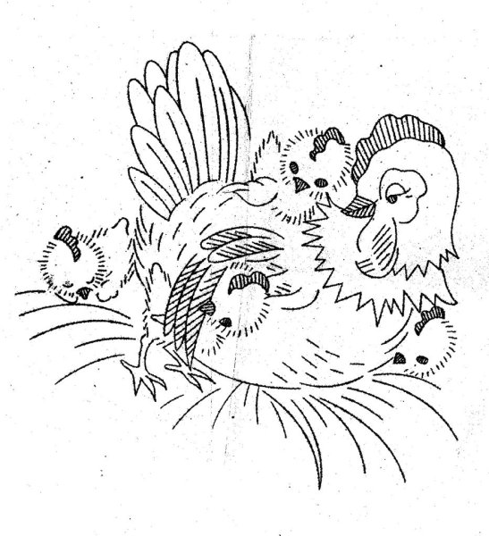 Цыпленок раскраска для детей