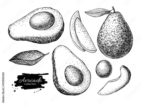 Раскраска авокадо