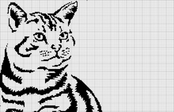 Монохромная вышивка кот