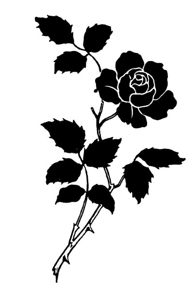 Черно белые рисунки