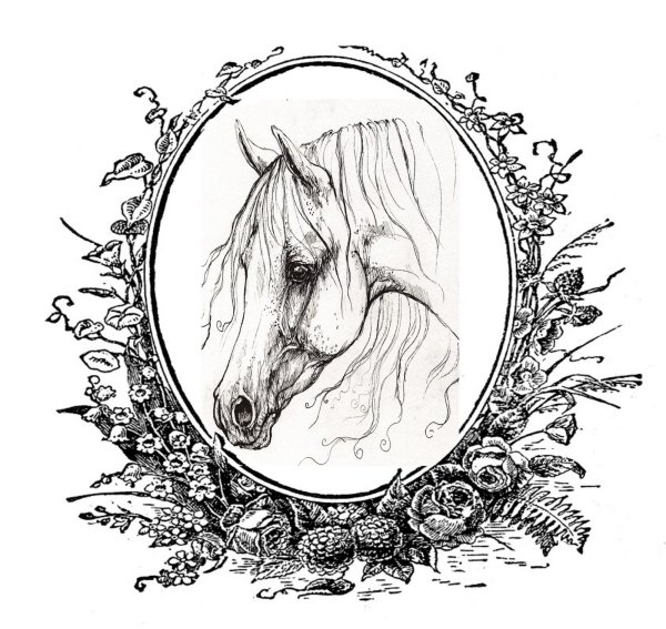 Эскизы для выжигания