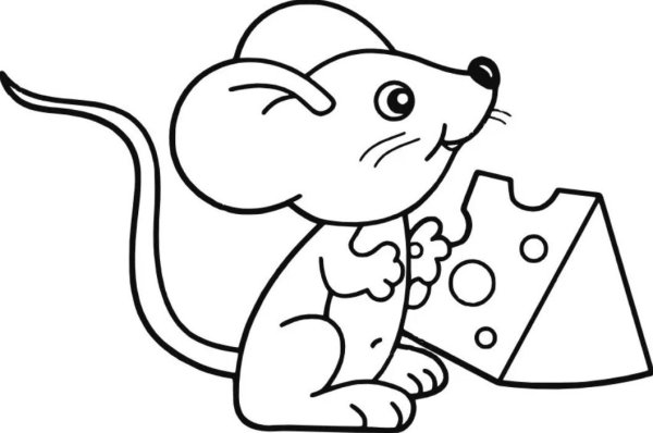Крыса раскраска