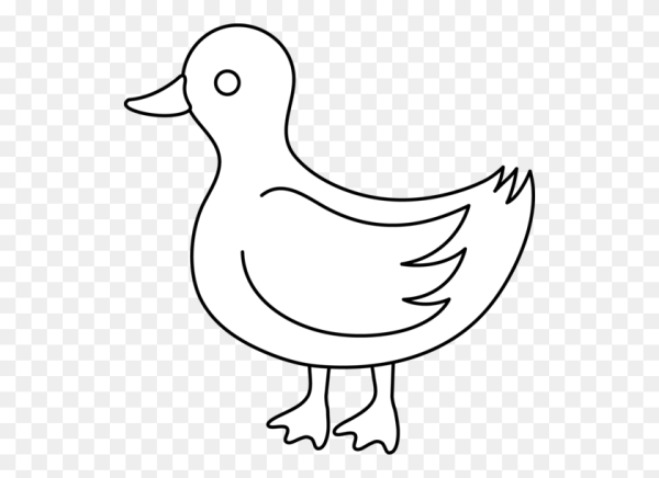 Черно белая утка