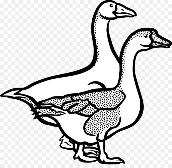 Утка раскраска для детей