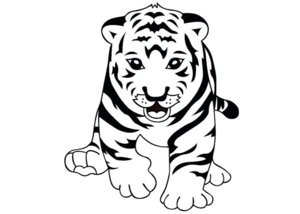 Тигр без цвета