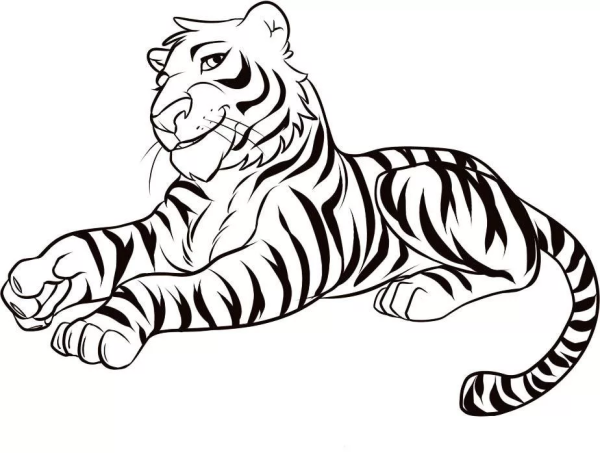 Тигр раскраска клипарт