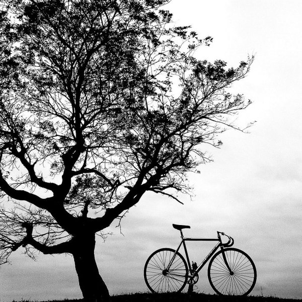 Стилизованный велосипед