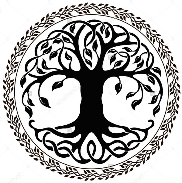 Кельтское дерево жизни вектор