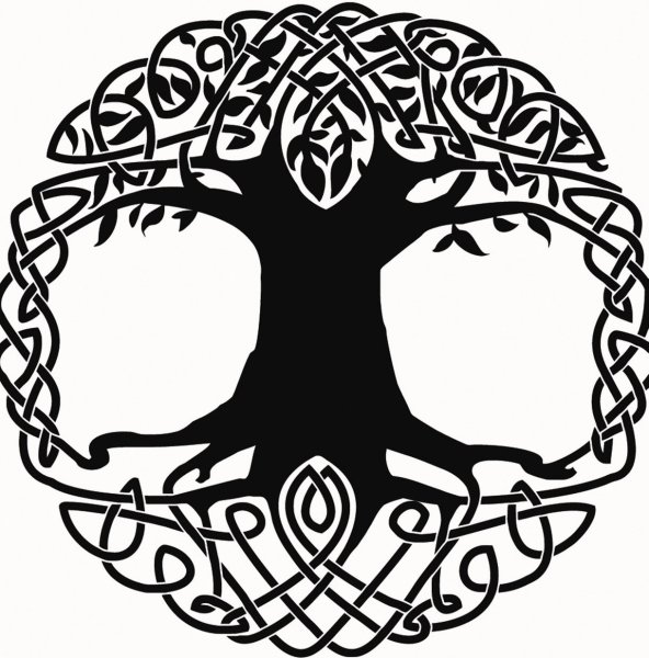 Древо жизни Кельтский символ