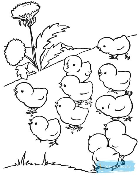 Цыпленок в скорлупе раскраска