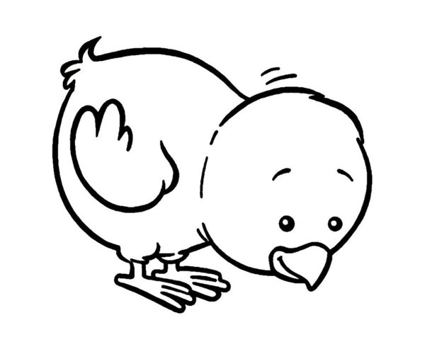 Цыпленок в скорлупе раскраска