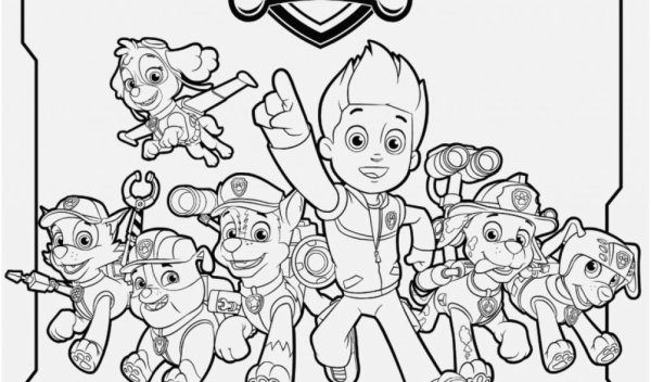 Райдер Щенячий патруль раскраска