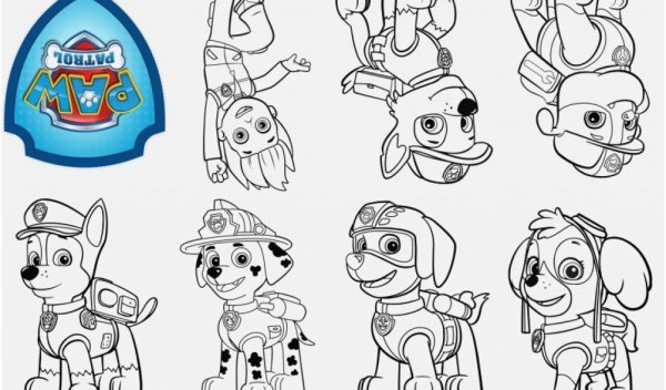 Супер Зума Щенячий патруль раскраска