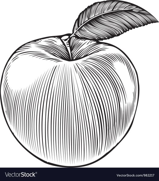 Графическое изображение яблока